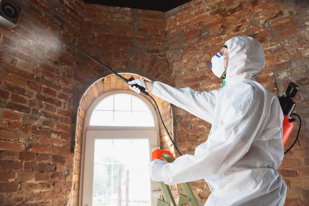 Mold Remediation for Rental Properties in Whitewater, KS